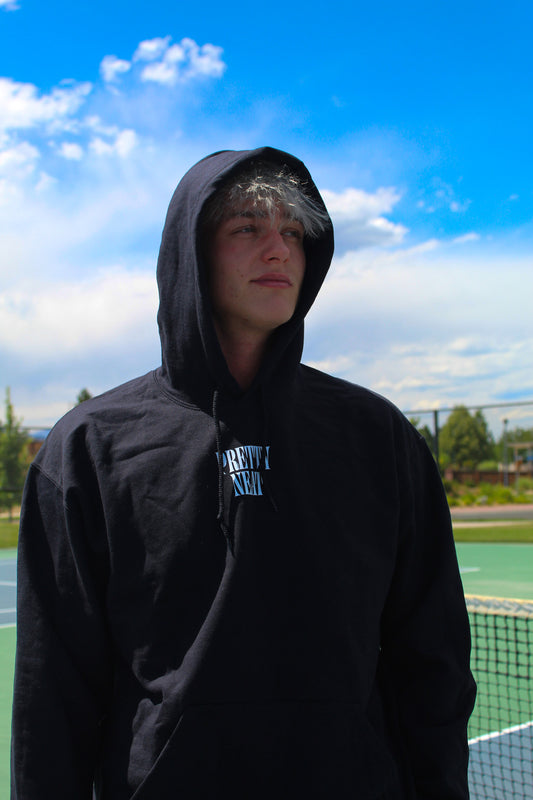 Dink to Death Sugar Skull  - Hoodie